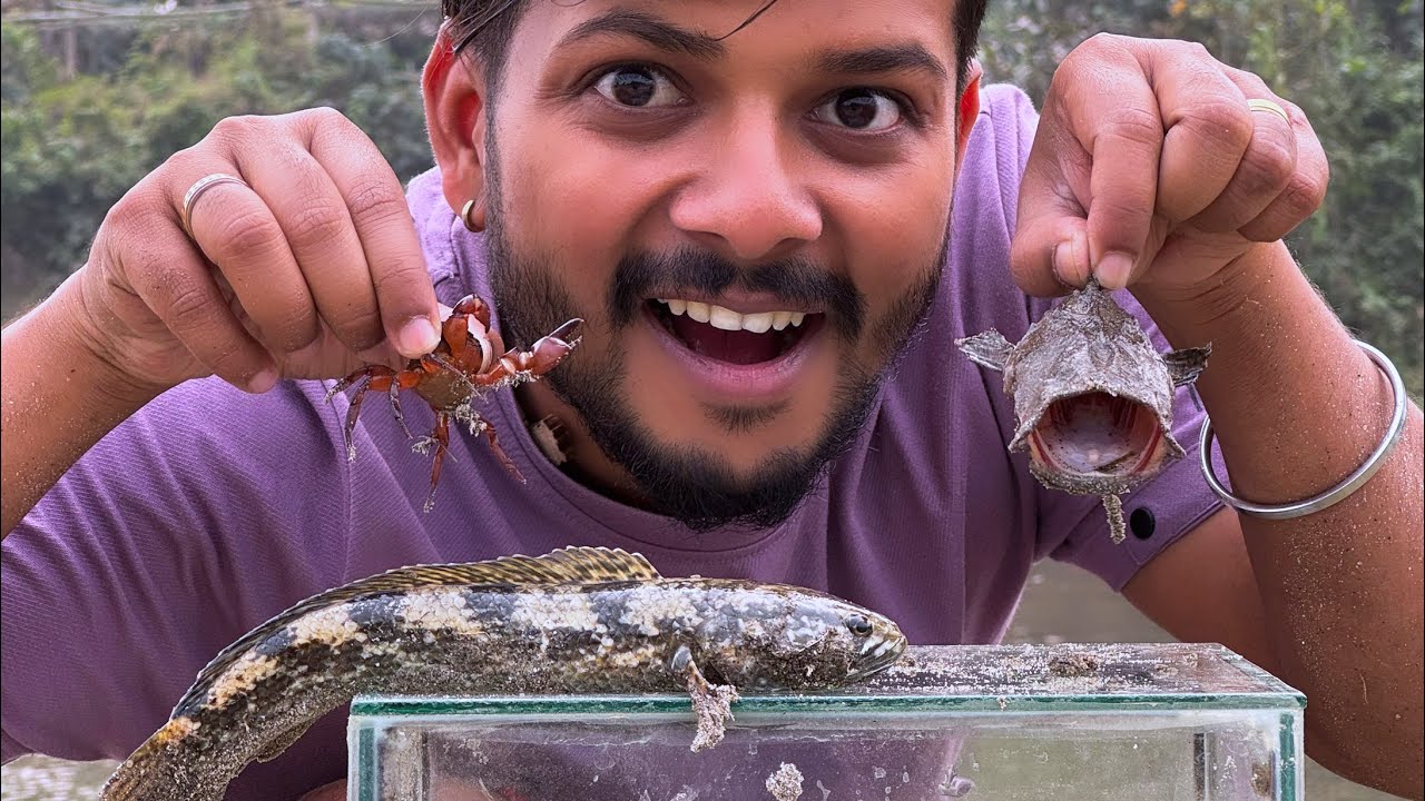 Banana🍌Tree Fishing in river for unique fish collections🔥❤️ | Assam River Fishing