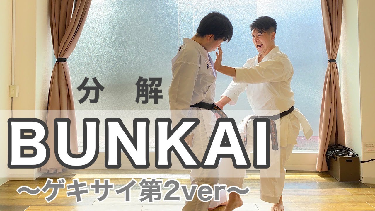 【形 分解】完全版 撃砕IIの分解（GEKISAINOBUNKAI）#karate #kata#空手