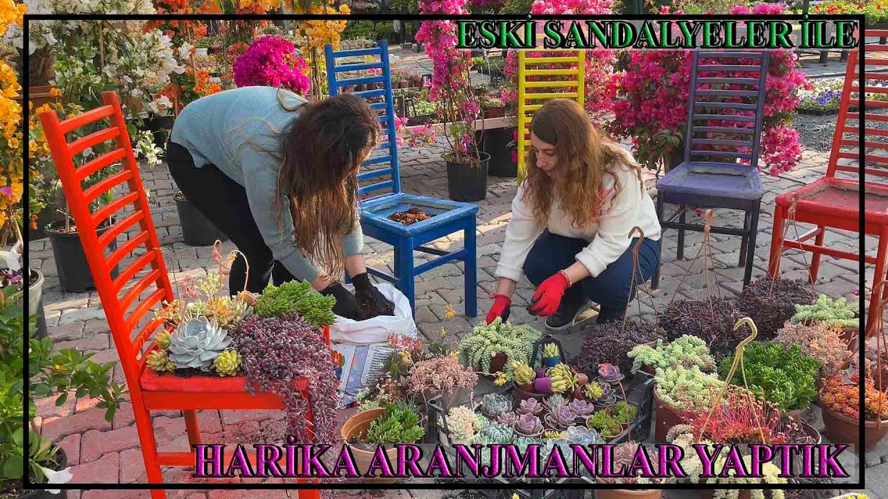 ESKİ SANDALYELERDEN HARİKA ARANJMANLAR YAPTIK #4k #succulent​  #sukulent #aranjman #zekeriyak&ouml;y