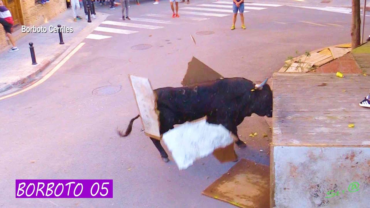 BORBOTO 05 INTEGRO El Toro Revienta el Cadafal