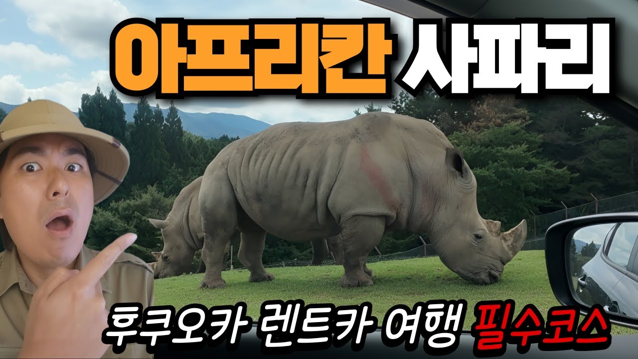 🇯🇵 벳푸 아프리칸 사파리 | 렌트카 후기 가족 브이로그