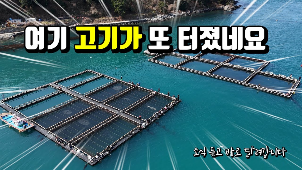 ~대박조황 소식에 바로 출동 했습니다.미친 입질~^^