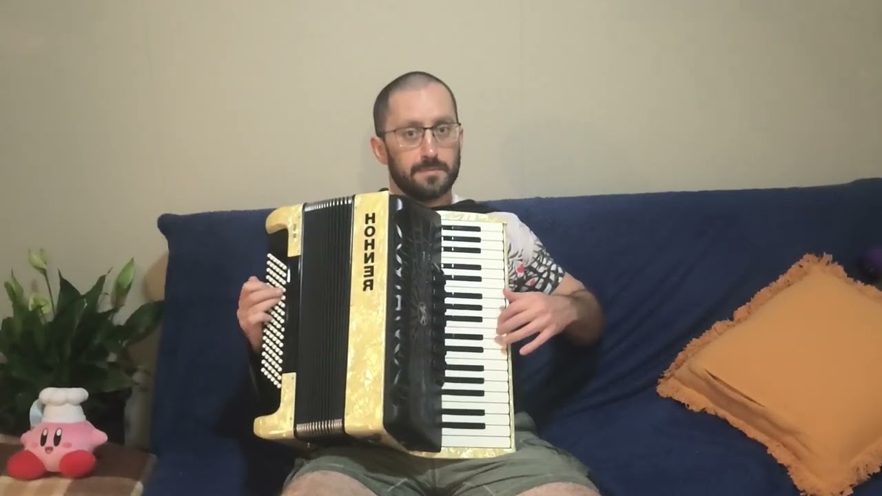 Stickerbush Symphony - Piano Accordion Cover