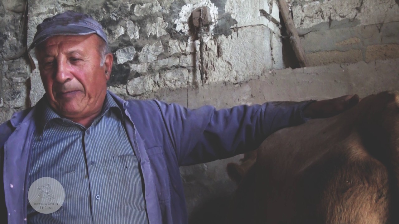 Dal contadino al caciocavallo | Emeroteca Iblea