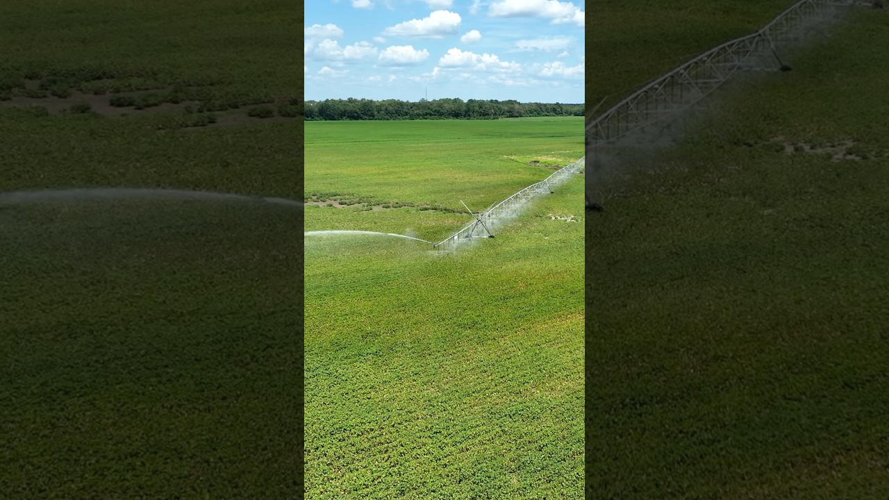 SOLD • 528 acres in South Georgia 