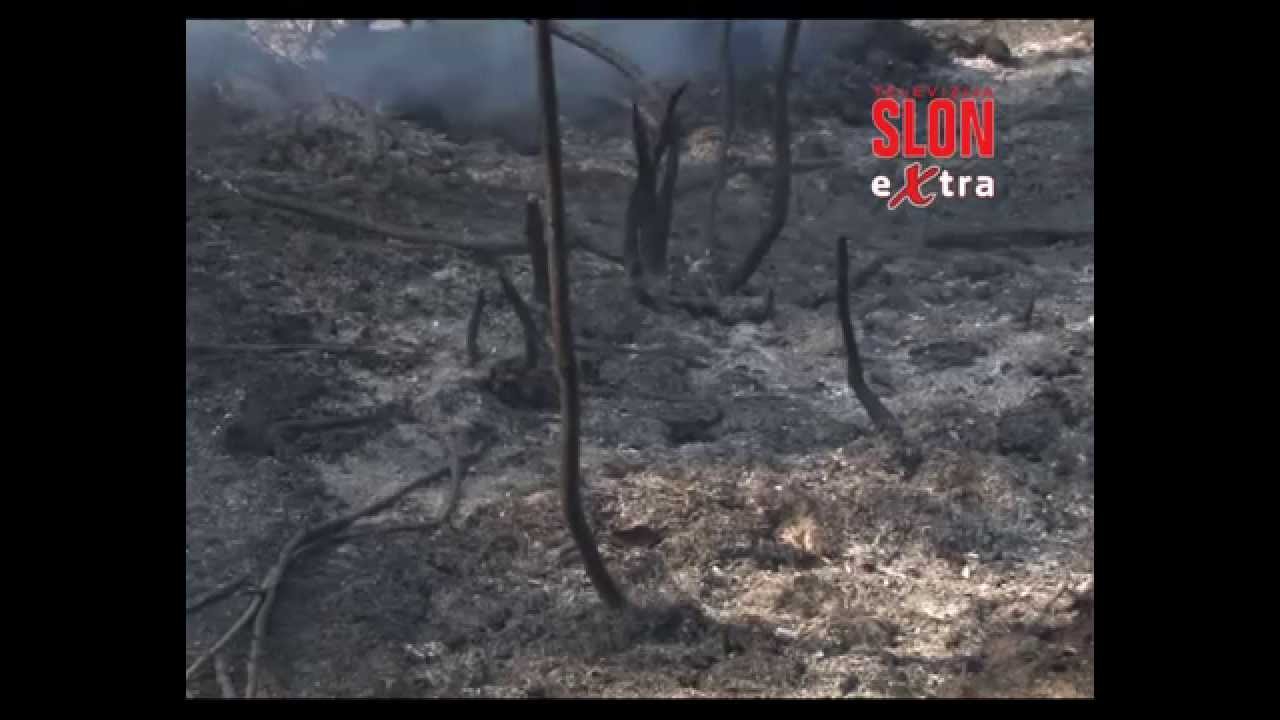 Požar u Bokavićima  - 22.07.2015.