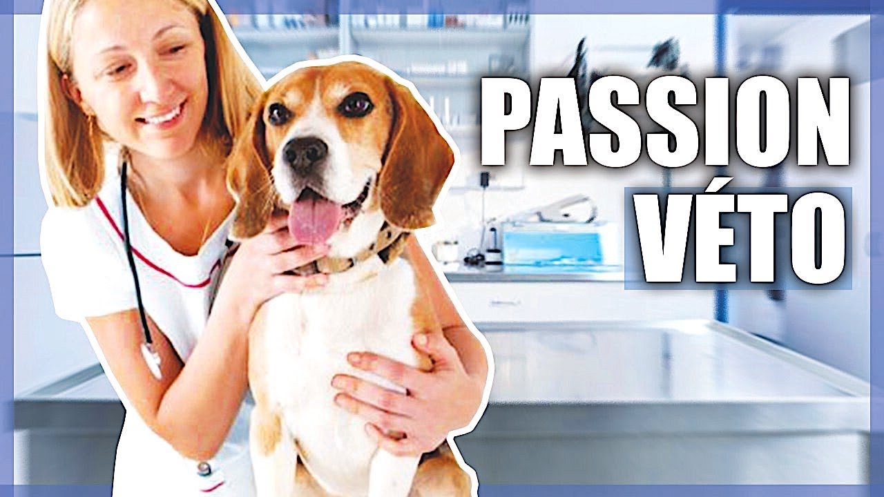Urgences V&eacute;t&eacute;rinaires, la passion au service des animaux
