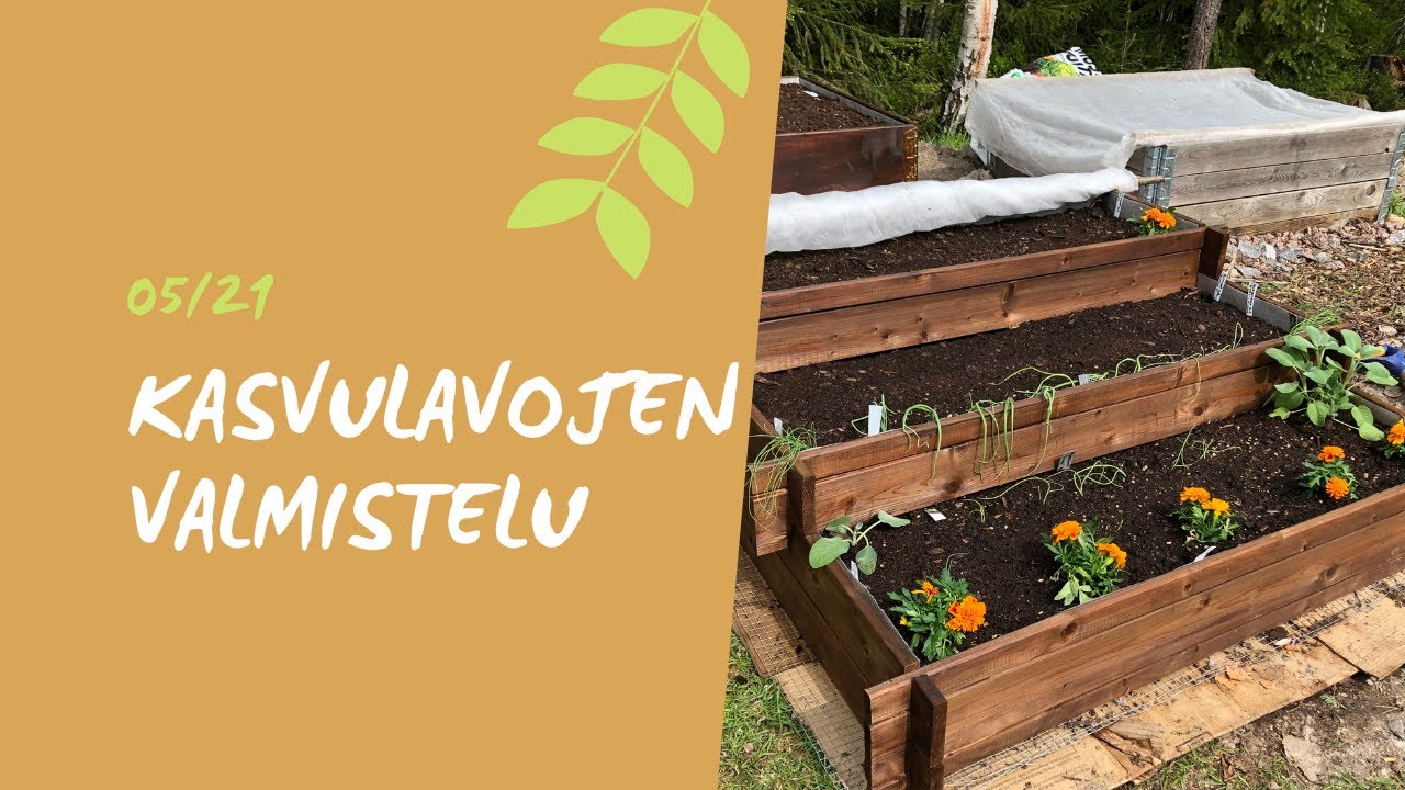 KASVULAVAT VILJELYKUNTOON LAVAKAULUKSISTA 🌱 ja satoa odottelemaan!