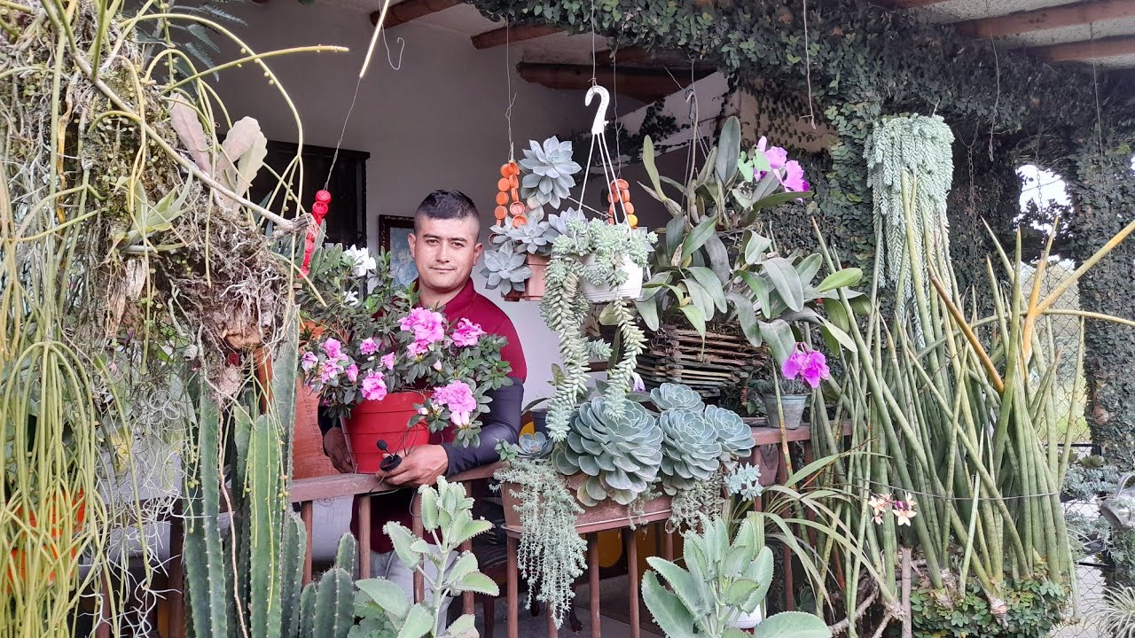 visitando hermosos jardines en el quindio el de Don Hernan es uno de ellos.