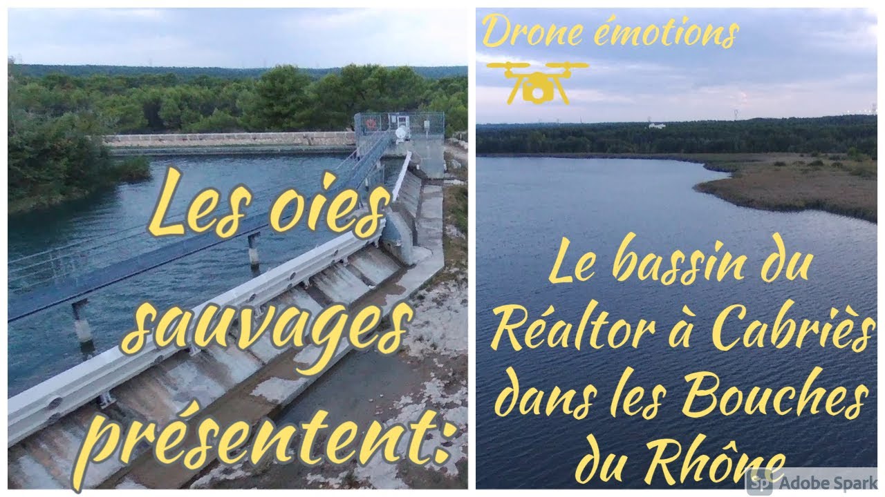Bassin du Réaltor