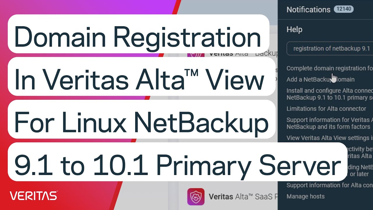 Domain Registration in Veritas Alta™ View for Linux NetBackup 9.1 to 10.1 Primary Server