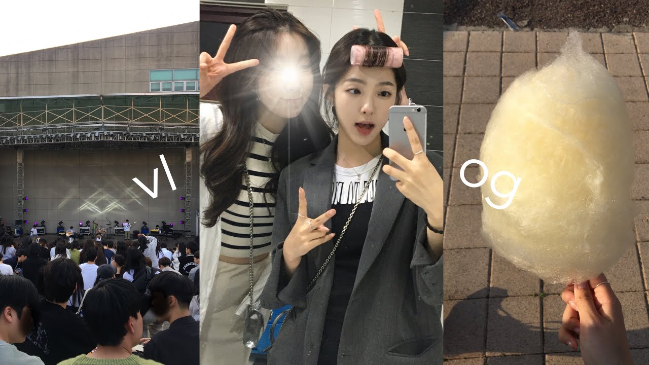 알차다 알차 축제 vlog