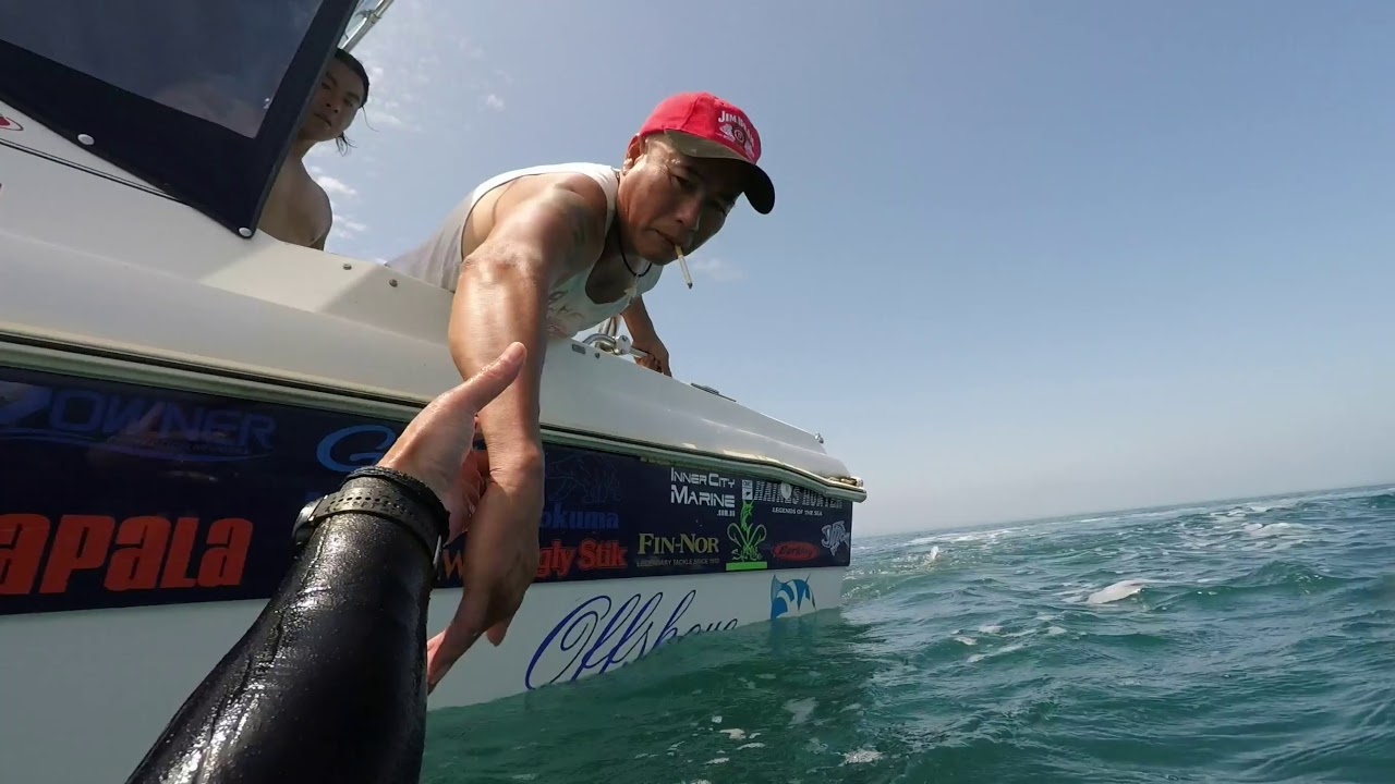 Scallop Dive, Port Phillip Bay
