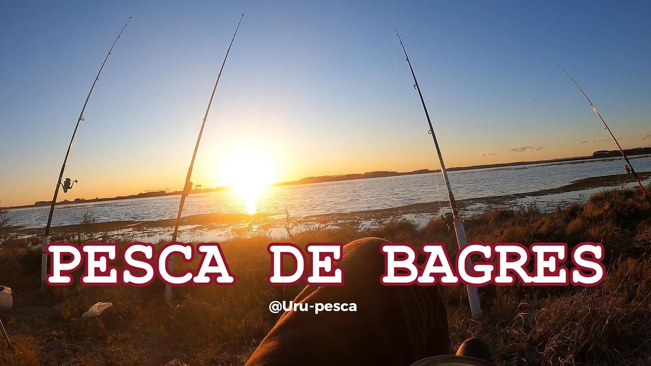 Fui Por La Revancha (pesca de bagres laguna Garzón)