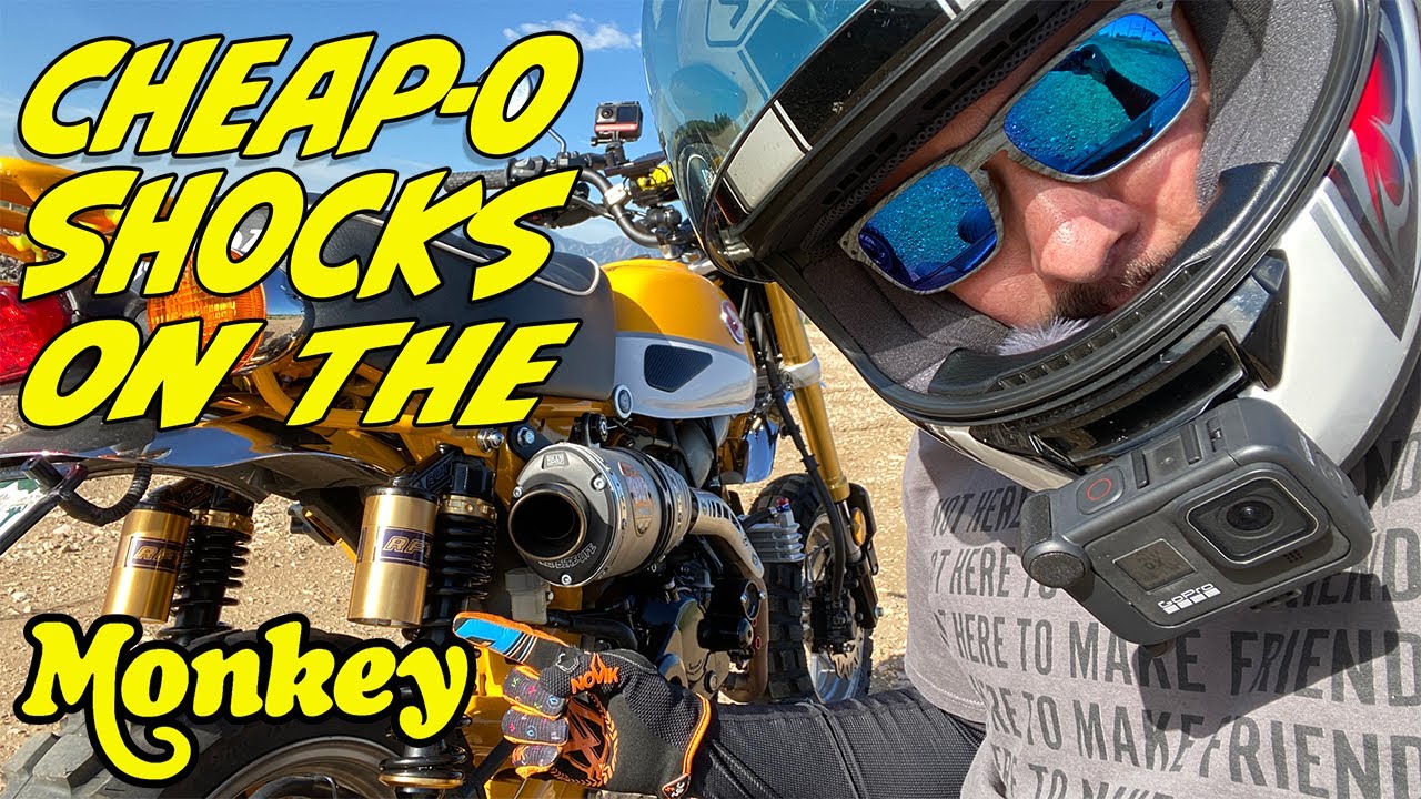 Honda Monkey | Are Cheap Shocks Good Enough?!? Also, MNNTHBX Swingarm Bushings!