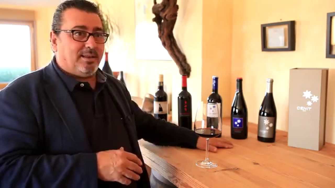 Los tintos de Vi&ntilde;as del C&eacute;nit - Todovino.com