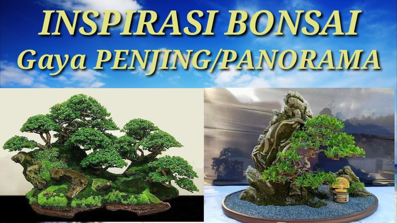 INSPIRASI BONSAI GAYA PENJING/PANORAMA