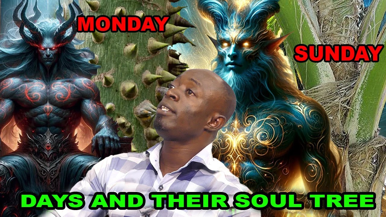Day Born & their Soul Tree for Bathing, Onyina Tree is a Northerner | Rev. Afrifa vs Akua |Efie Nsem
