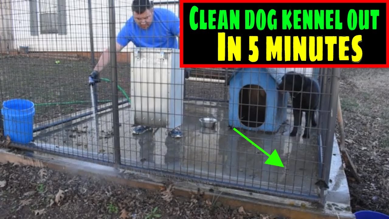 The best way to clean your dog Kennel out in 5 minutes