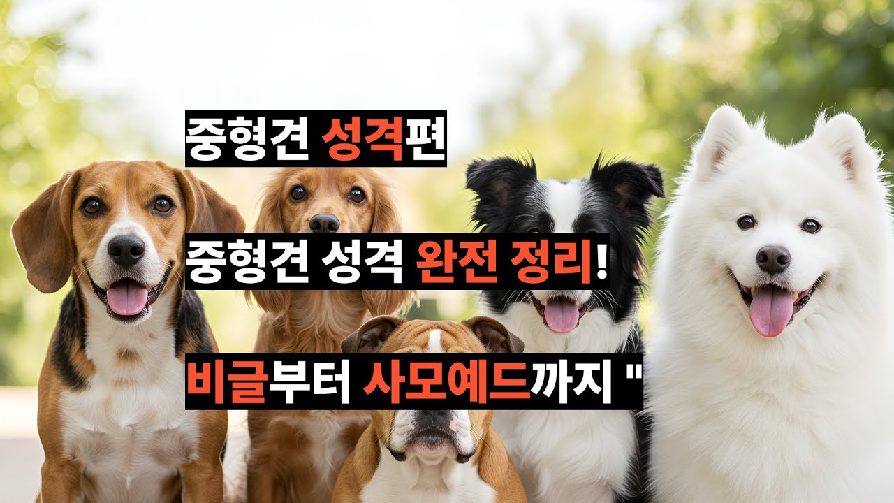 👉 