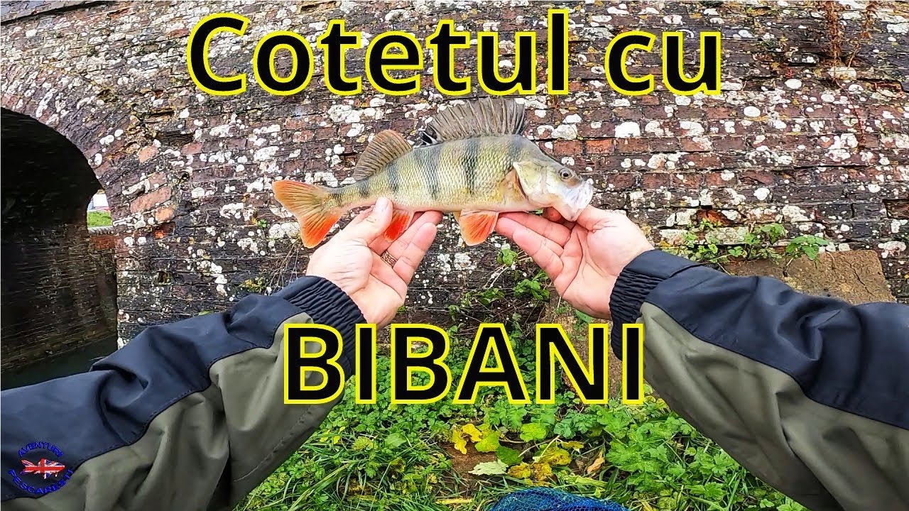 Pescuit la Biban cu Năluci Artificiale: Tehnici, Echipament și Capturi