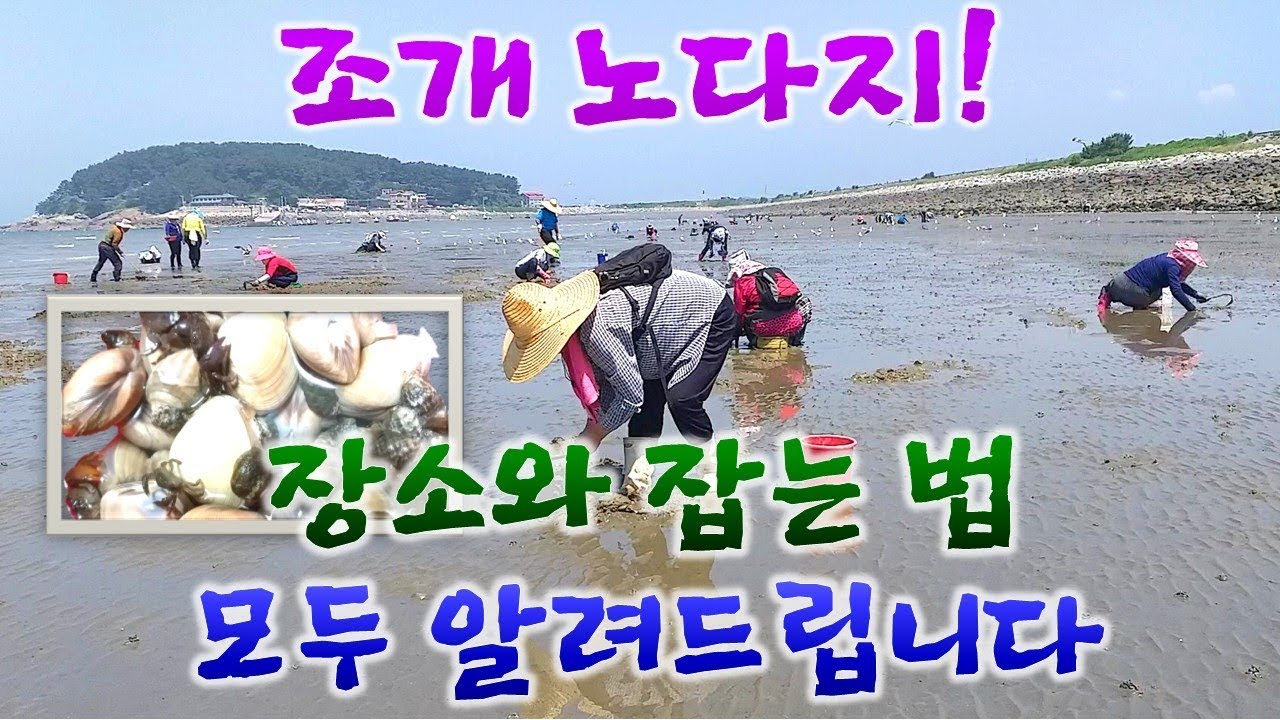 쉿! 비밀이에요. 소라도 많은데 다른 사람은 몰라요. 갯벌체험