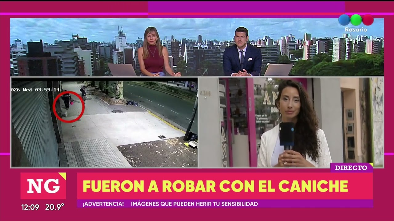 Fueron a robar con el caniche - TELEFE ROSARIO