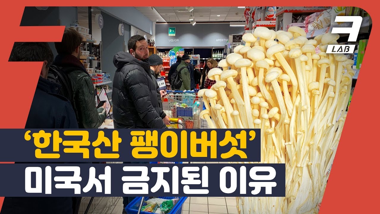 ★팩트체크★ 팽이버섯 먹고 죽은 미국인 4명, 진짜 이유는 따로 있다?｜크랩