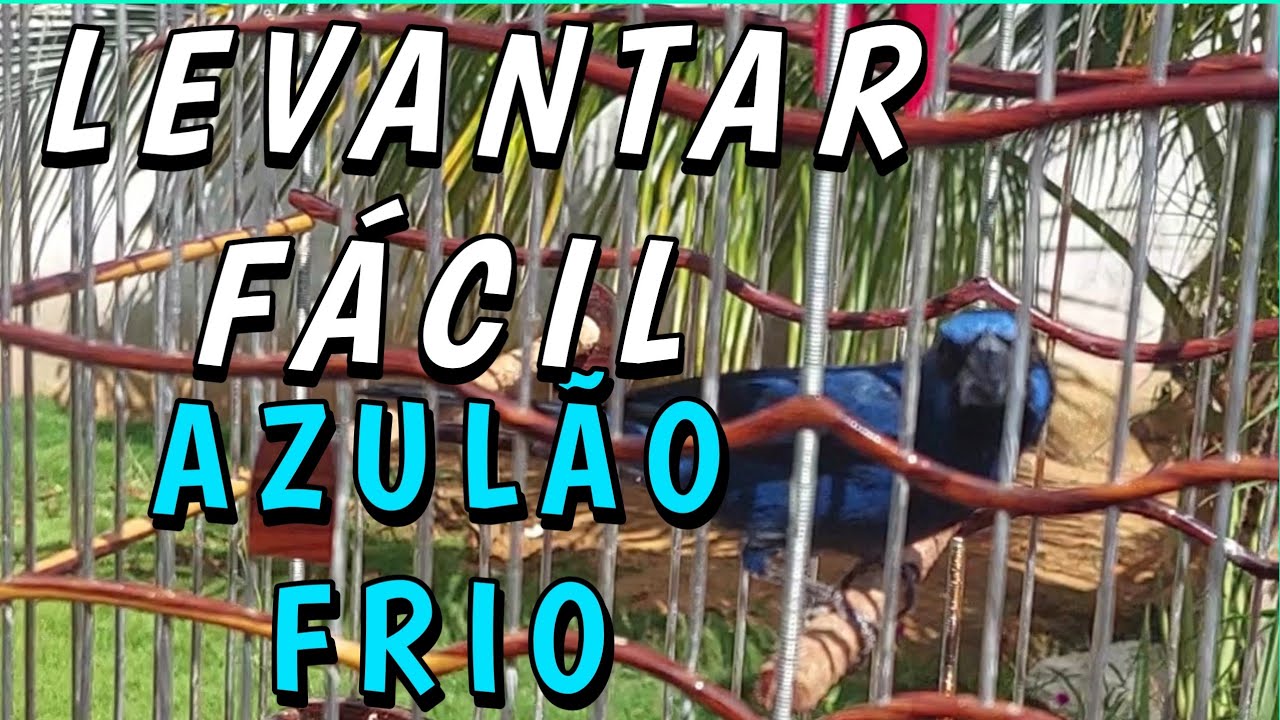 COMO LEVANTAR AZUL&Atilde;O FRIO GELADO