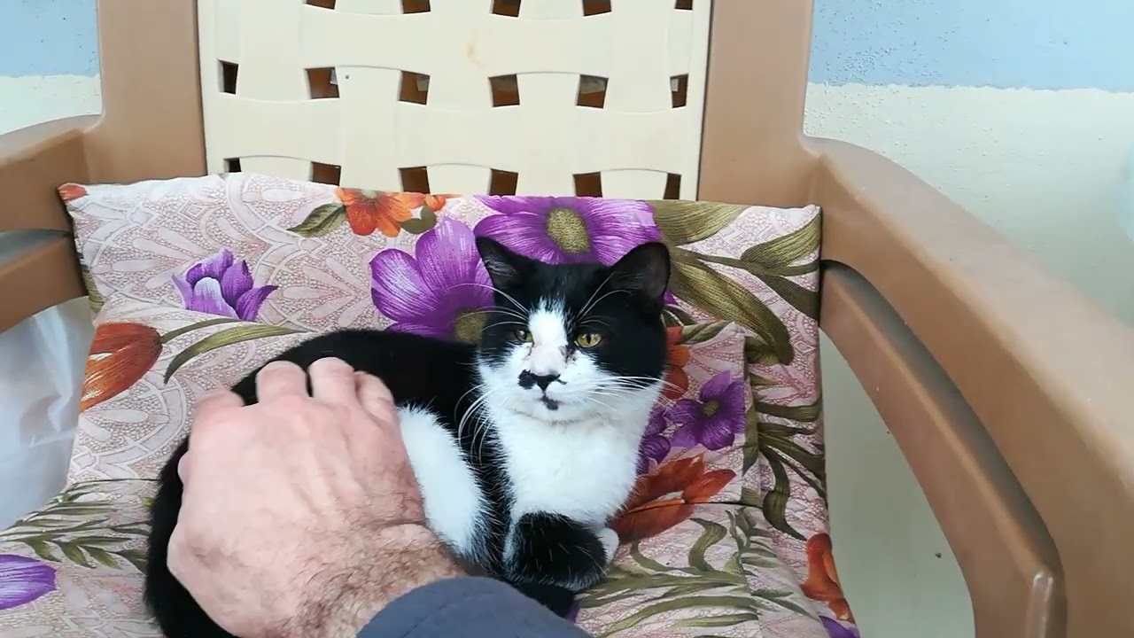 MAHALLENİN ÇOCUKLARI BİZİM EVDE TOPLANMIŞ :))