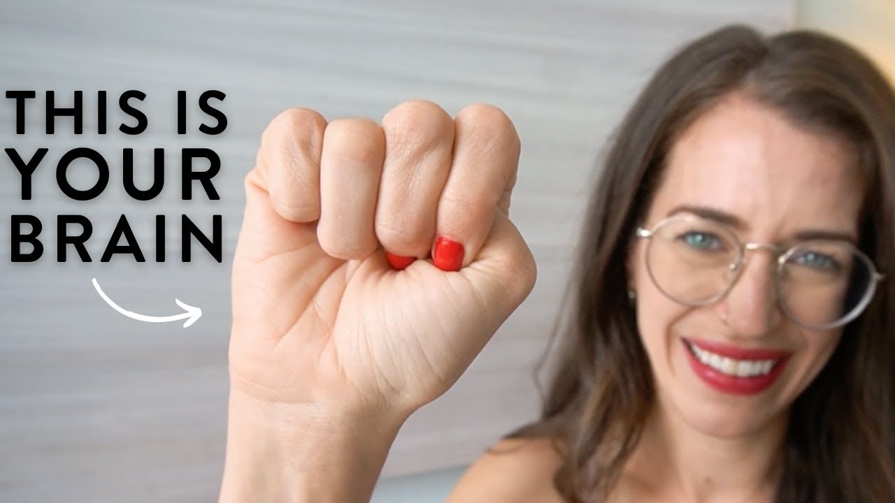 Dan Siegel's Hand Brain Model | Meditation Benefits