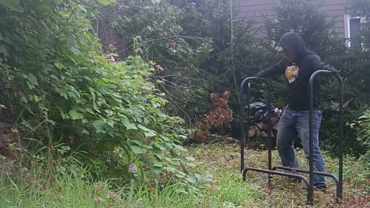 Evarts Tree Service Part 1 #treebiz #treecutting #arblife