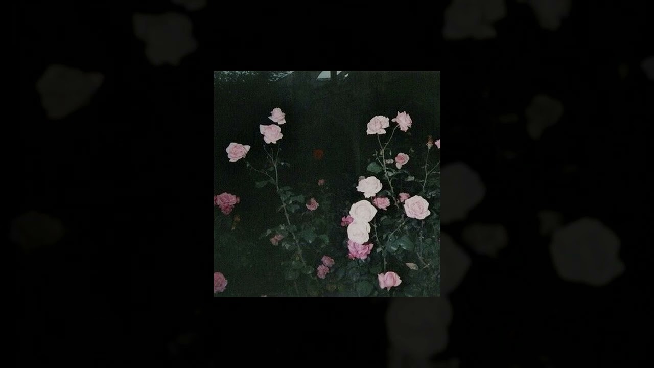 [FREE] Surrenderdorothy x Bones Type Beat 