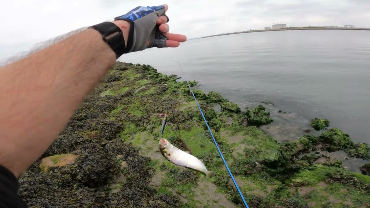 Pesca em São Jacinto com montes de capturas