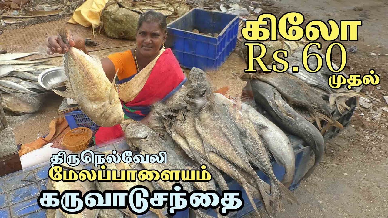 dry fish market | karuvattu santhai | மேலப்பாளையம் கருவாடு சந்தை