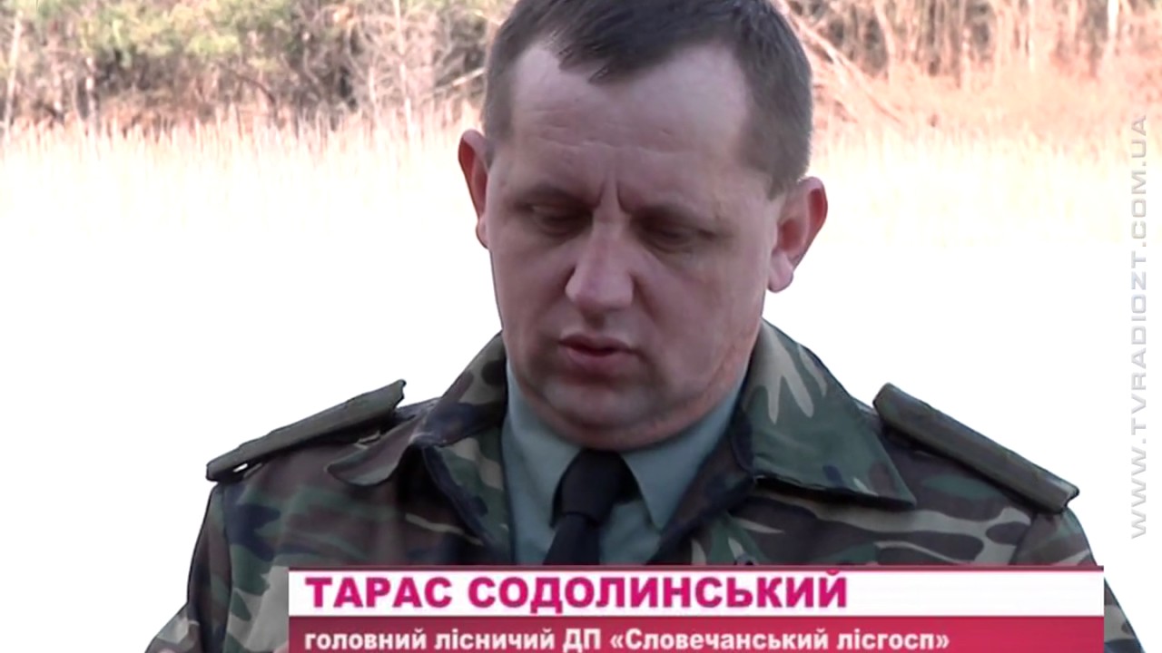 Словечне: відпочинь у лісі із комфортом