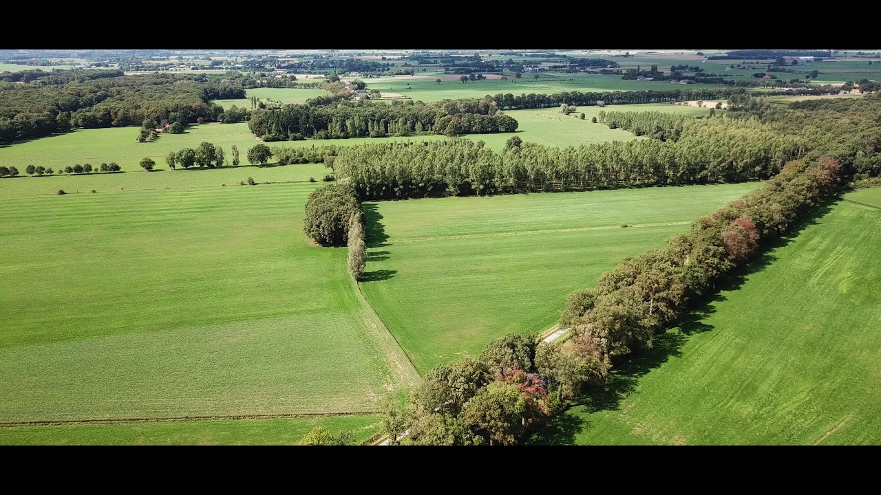 Hoog-keppel vanuit de lucht (4K)