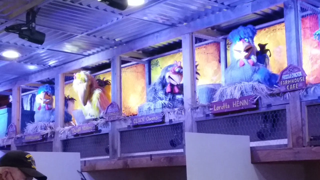 The singing chickens of Pigeon Forge