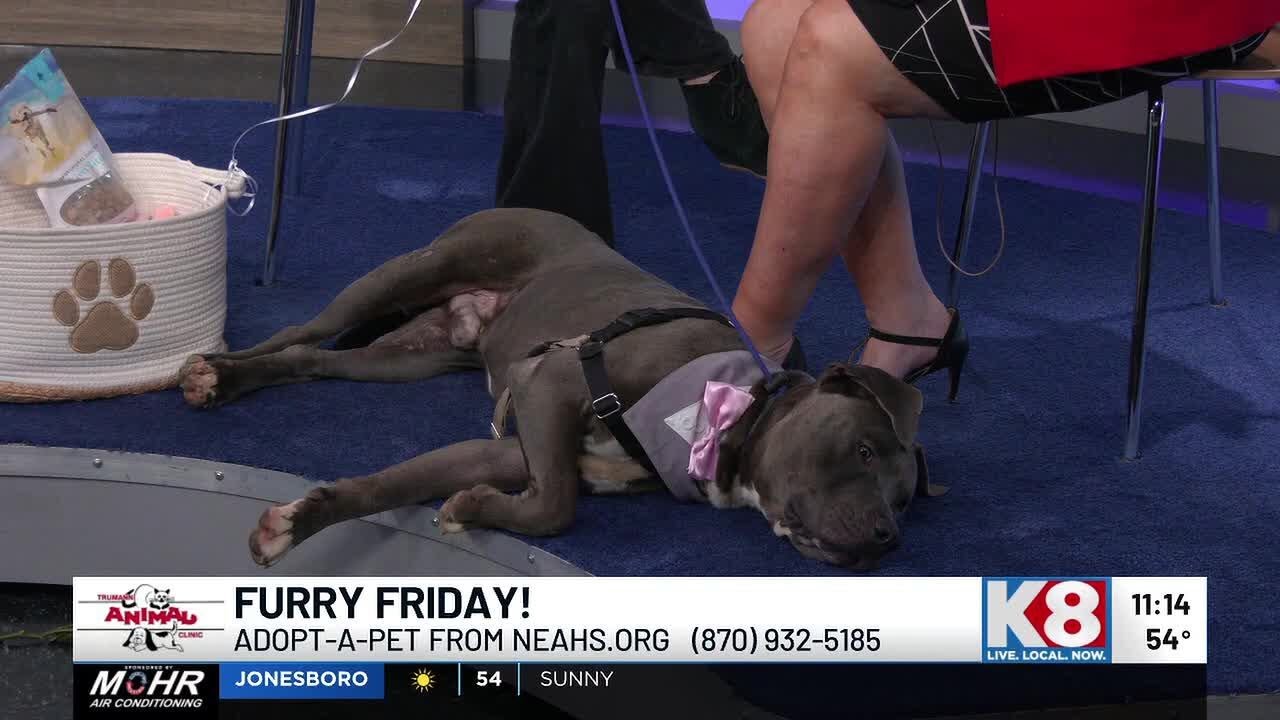 Furry Friday: Otis