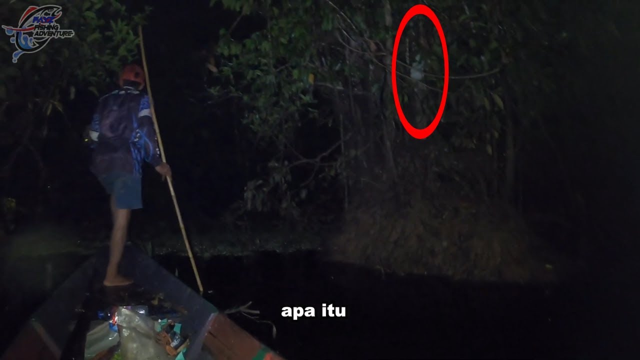 Menombak Tepat Di Kerajaan Ikan Wakanda #316