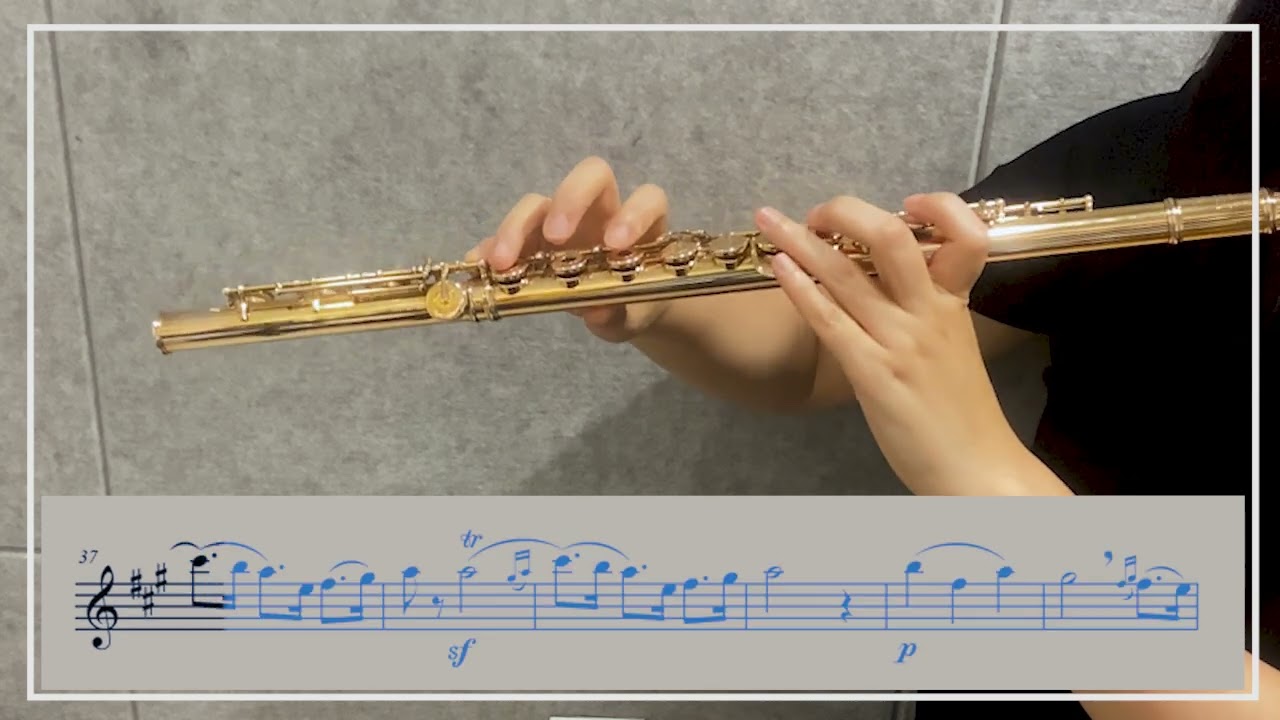 Gariboldi Flute Etudes  Op. 132  No. 10  A Major