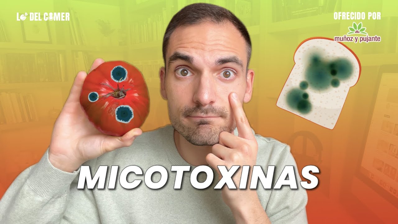 MICOTOXINAS: cómo evitar este TÓXICO del MOHO en nuestra COMIDA