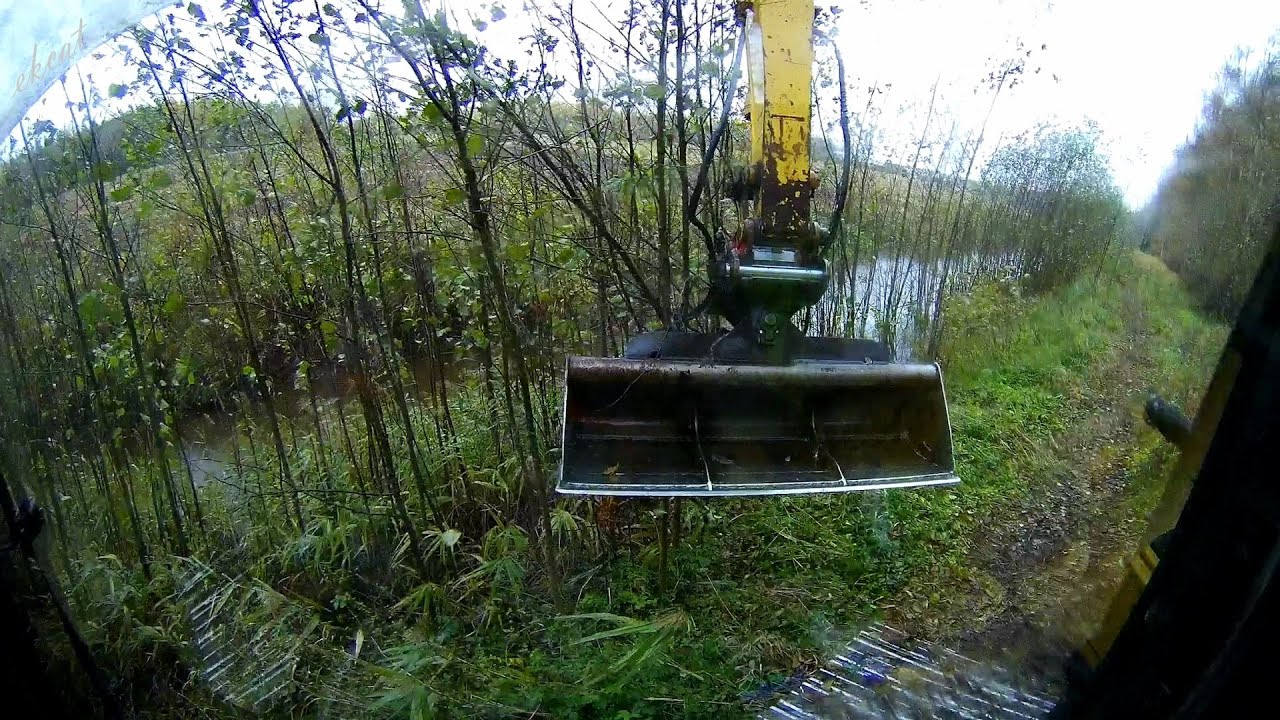 Бобры спрятали эту плотину в зарослях