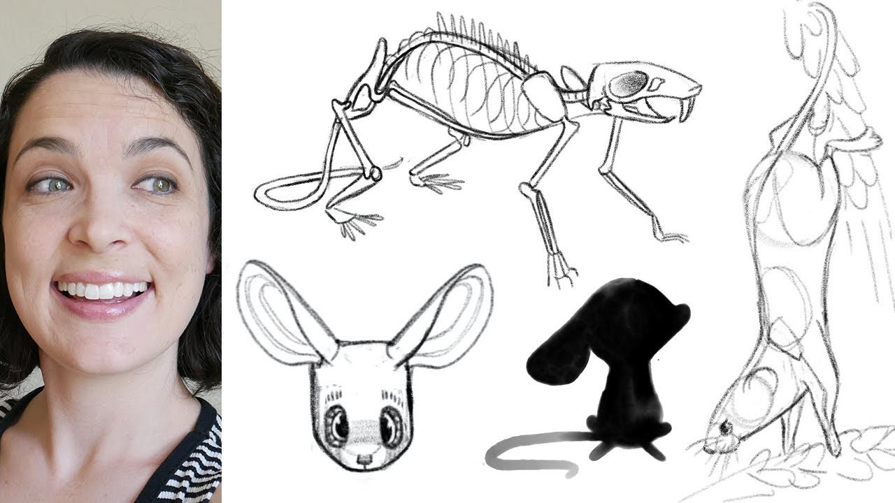 Animal Character Design | Adobe Creative Residency Grant