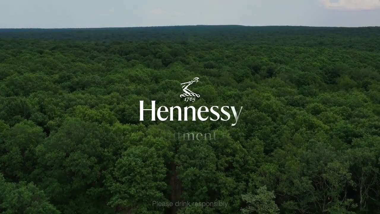Hennessy's Forest Destination Programme