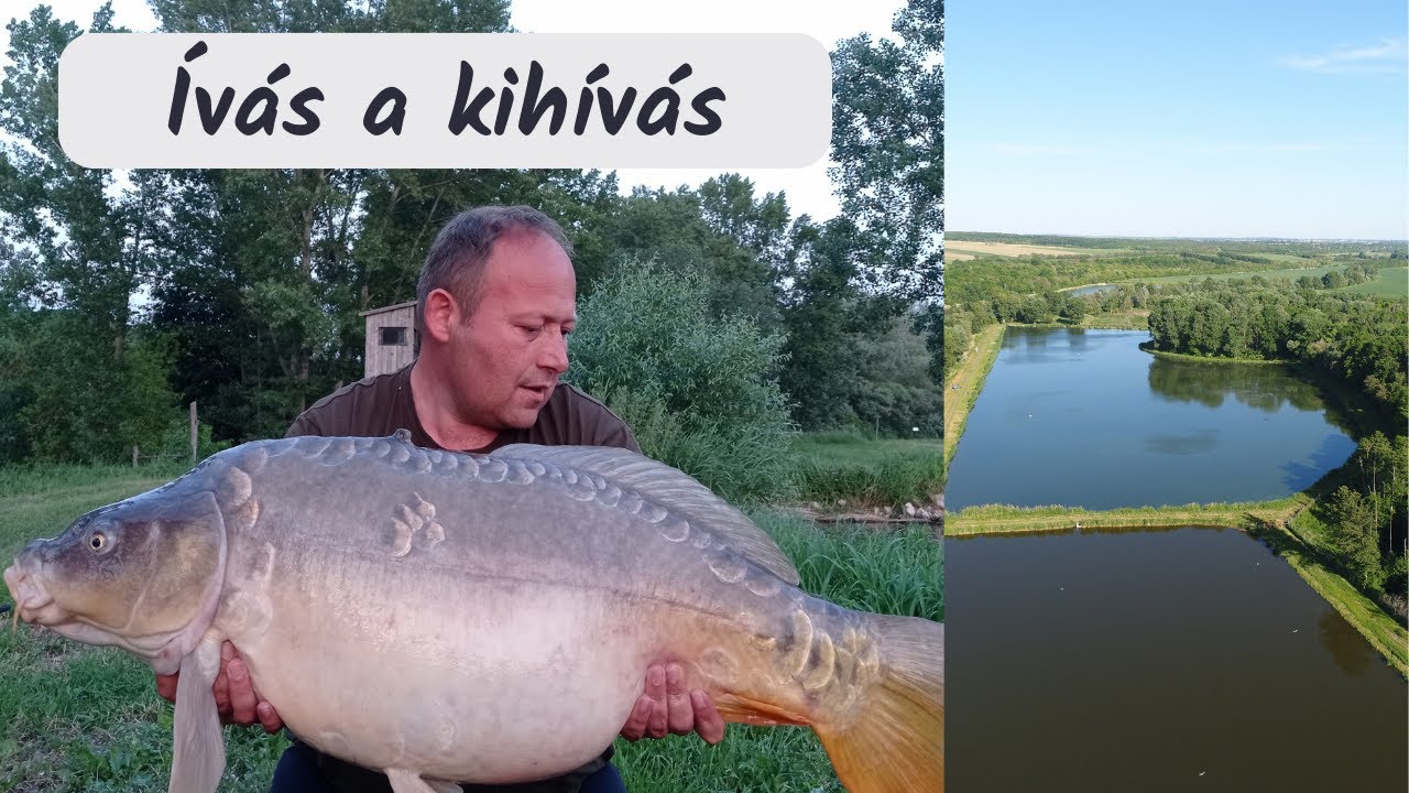 Ponty horgászat ívási időszakban