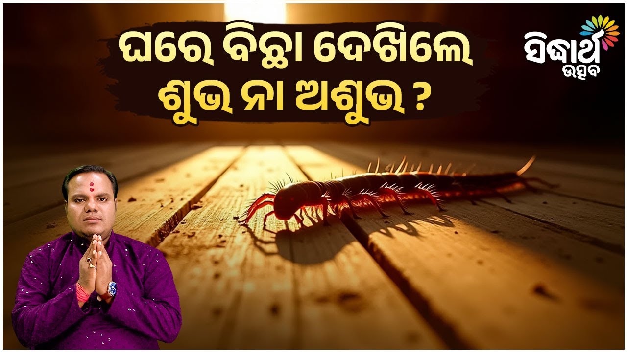 ଘରେ ବିଛା ଦେଖିଲେ ଶୁଭ ନା ଅଶୁଭ ? Jibana Jigyansha | Chitaranjan Mahapatra | Sidharth Utsav