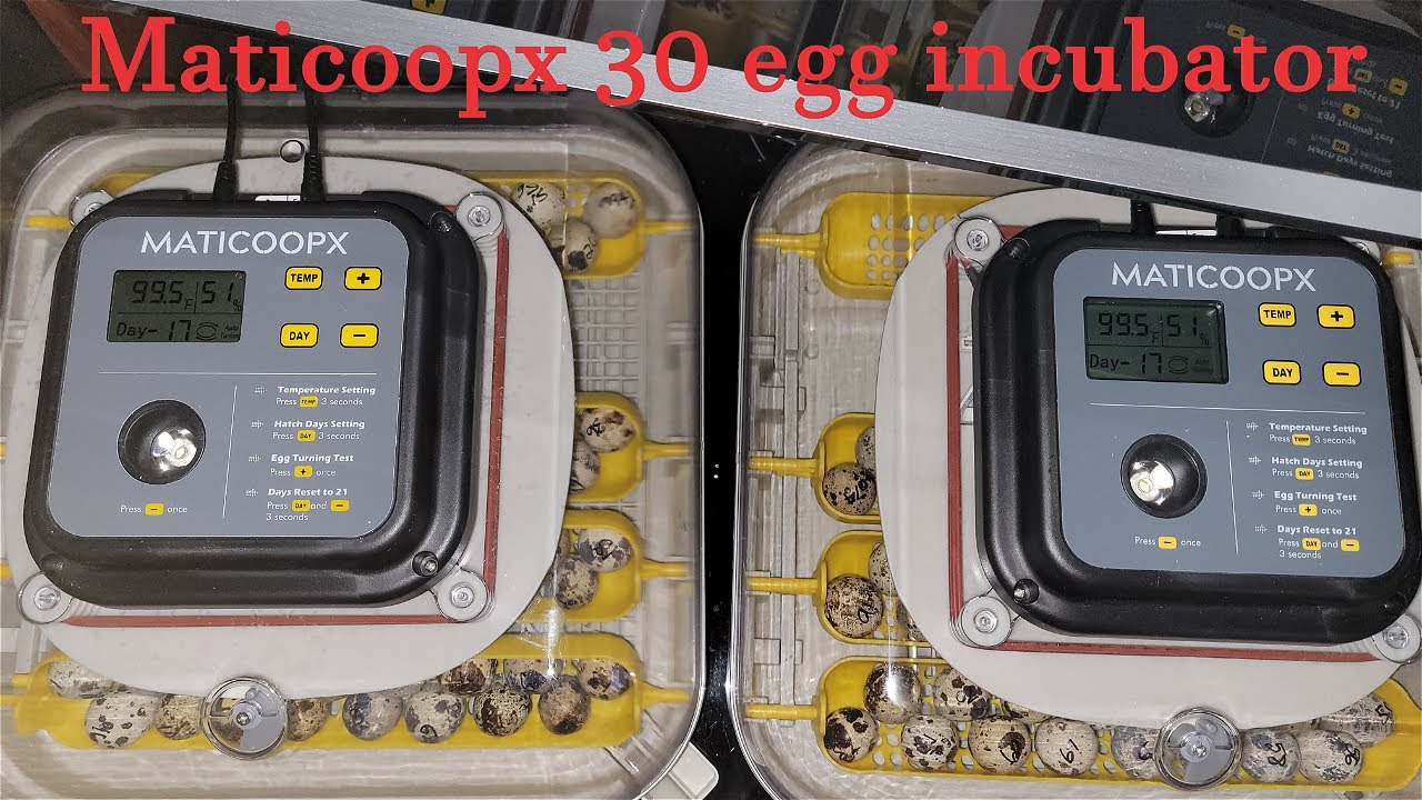 Maticoopx 30 egg Incubator
