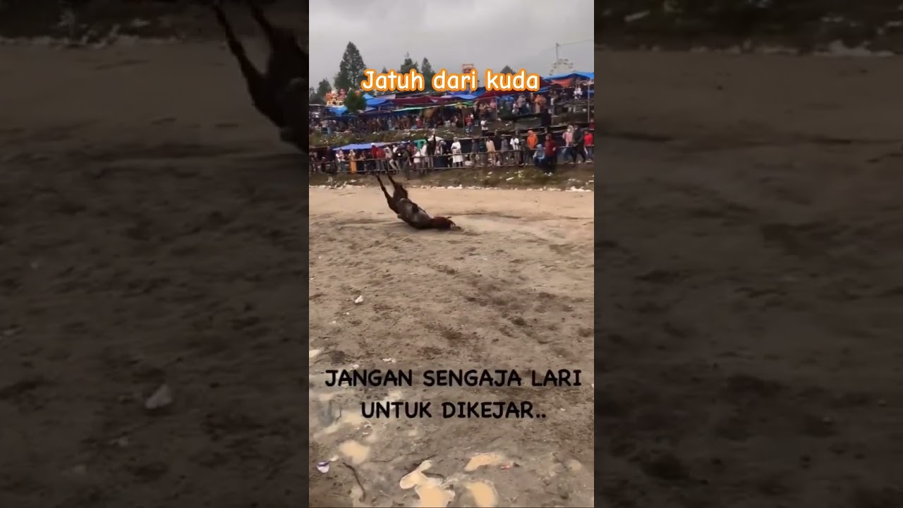 Kuda Terjatuh #horse #pacuankudaindonesia #horseracing