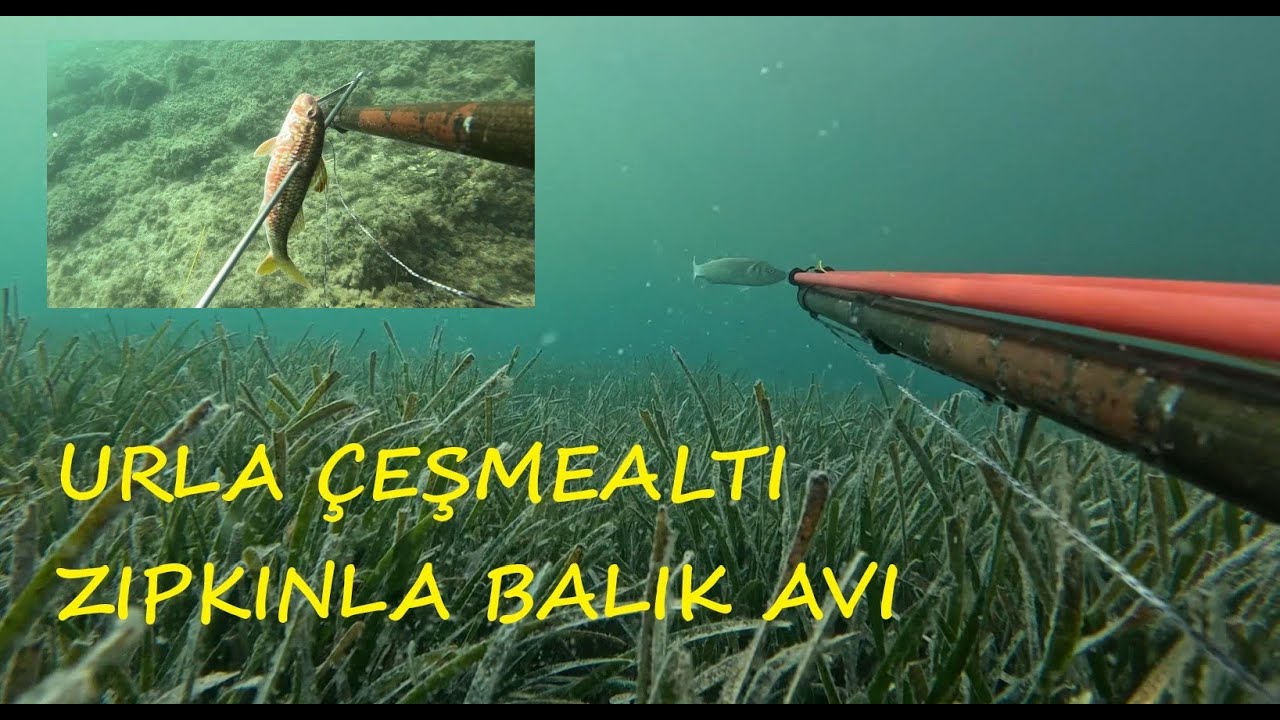 ZIPKINLA BALIK AVI - URLA ÇEŞMEALTI